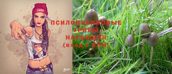 гидра Балахна