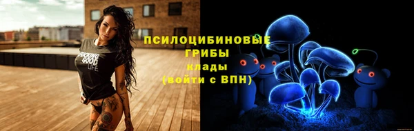 гидра Балахна